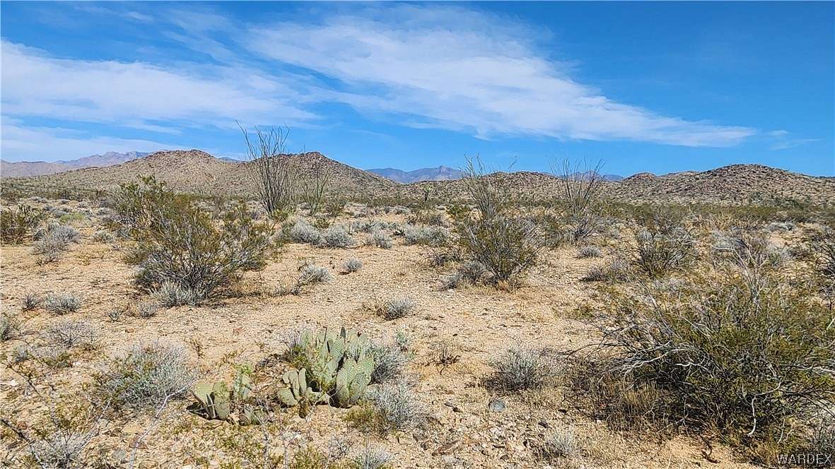 42.3 Acres of Land for Sale in Yucca, Arizona