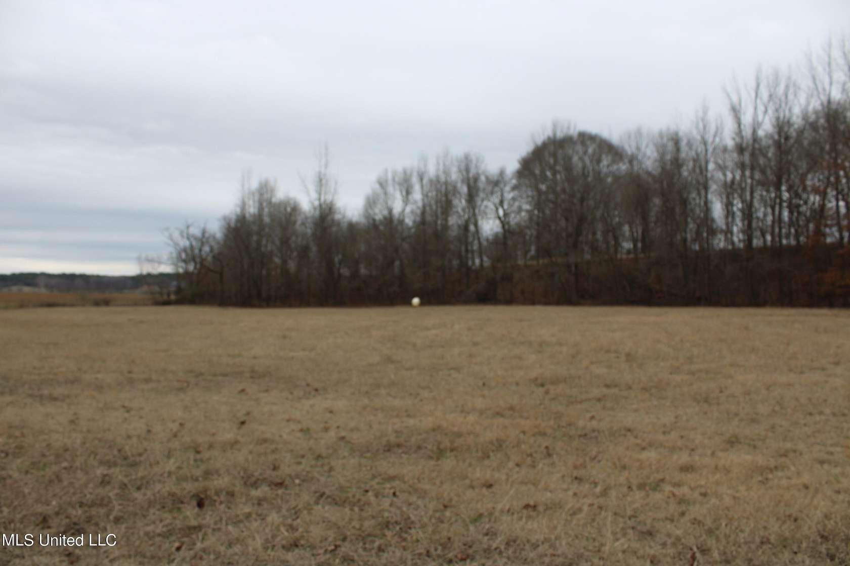 10.5 Acres of Land for Sale in Byhalia, Mississippi