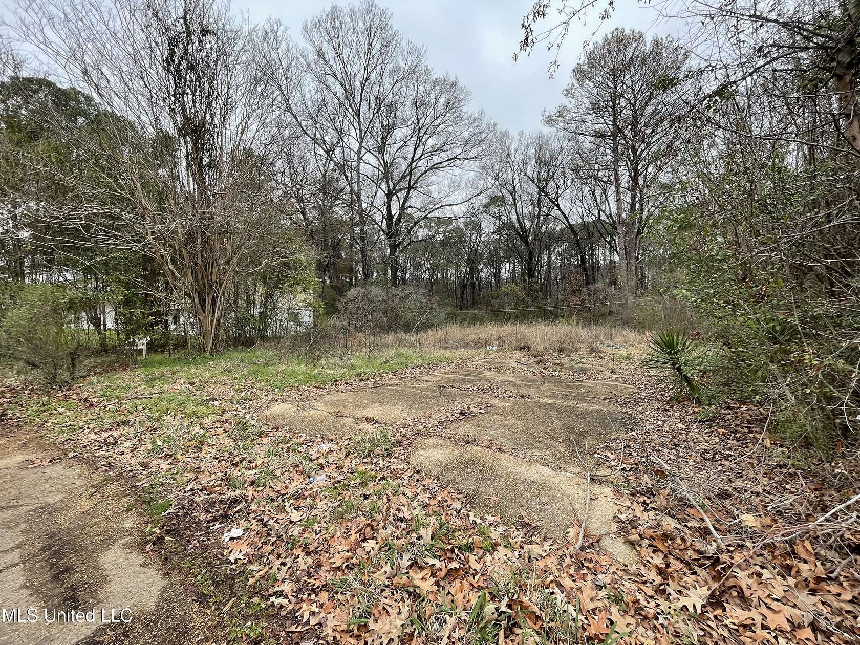 0.3 Acres of Residential Land for Sale in Jackson, Mississippi