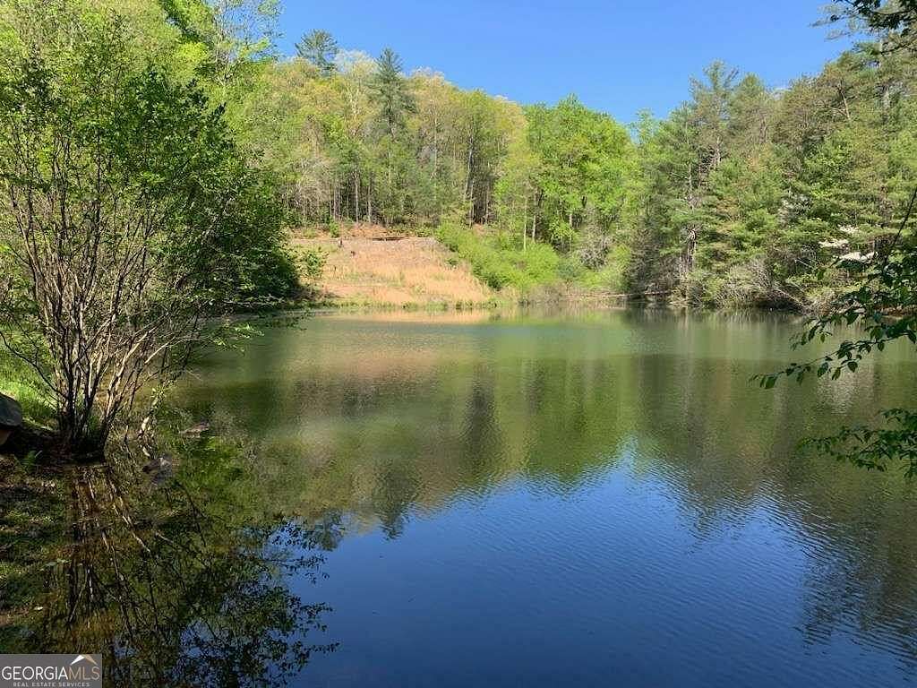 1 Acre of Residential Land for Sale in Cherry Log, Georgia