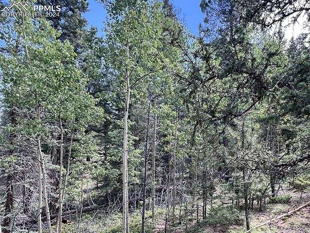 0.72 Acres of Residential Land for Sale in Cripple Creek, Colorado