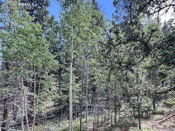 0.72 Acres of Residential Land for Sale in Cripple Creek, Colorado