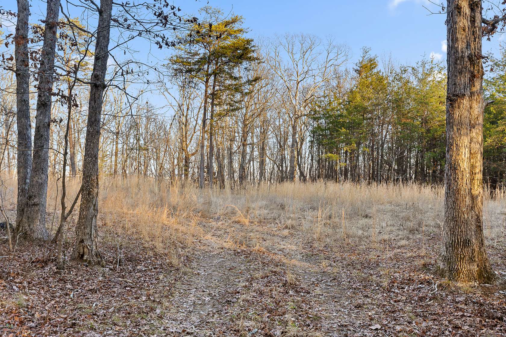 3.2 Acres of Recreational Land for Sale in Dunlap, Tennessee