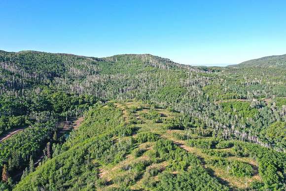 3,745 Acres of Land for Sale in Paonia, Colorado