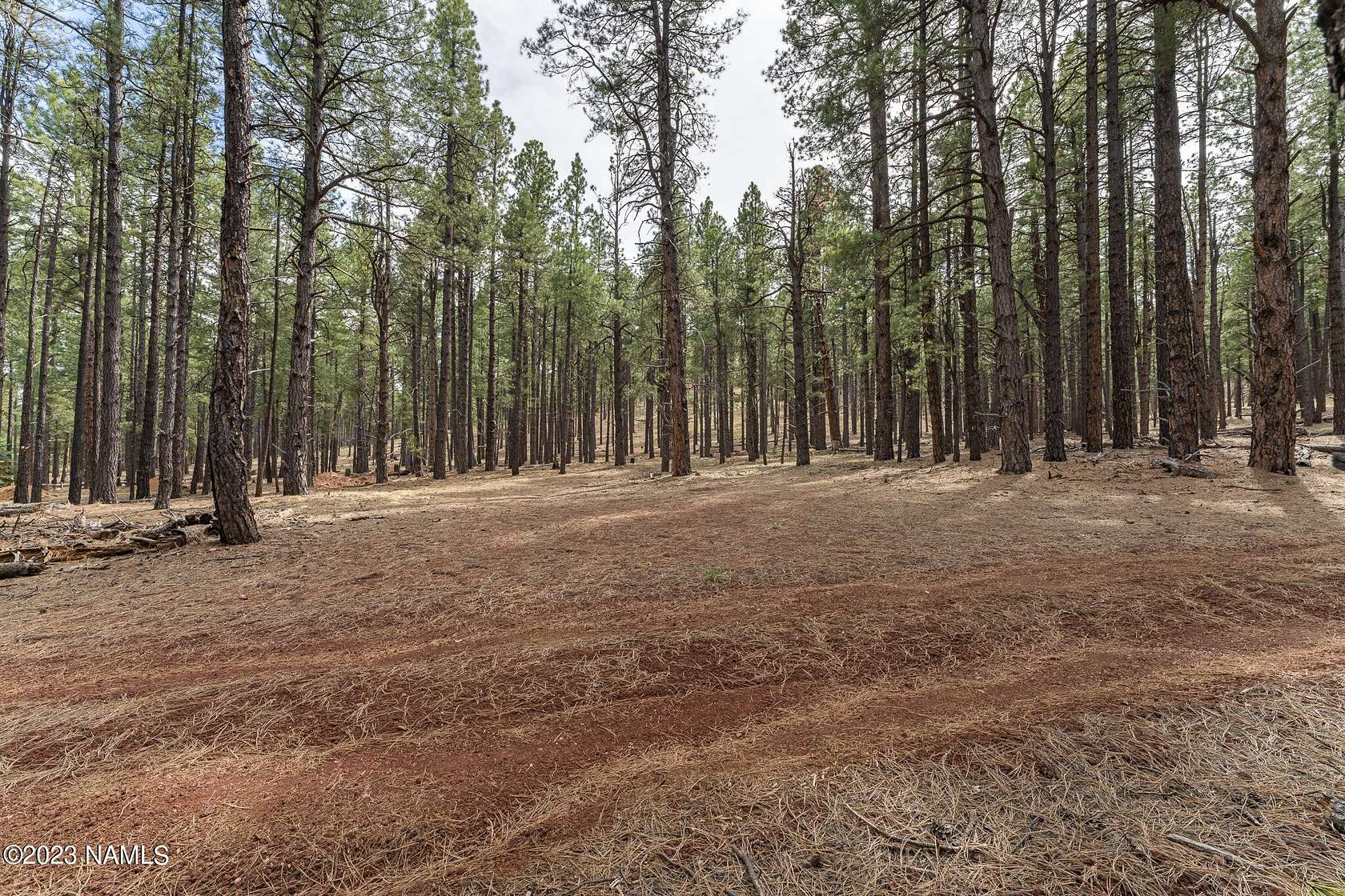 2 Acres of Residential Land for Sale in Williams, Arizona