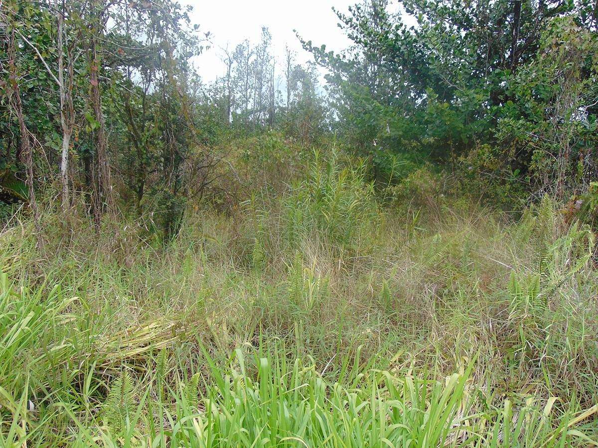 2 Acres of Residential Land for Sale in Kurtistown, Hawaii