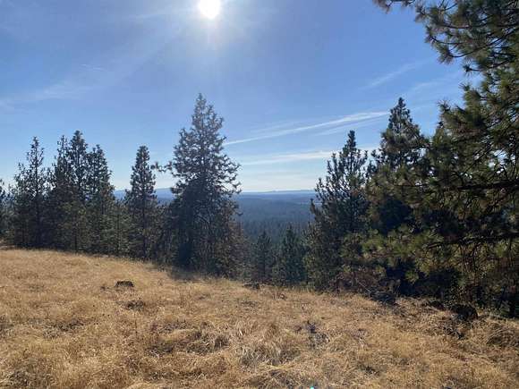 10 Acres of Land for Sale in Chattaroy, Washington