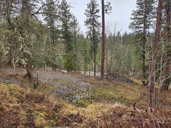 0.46 Acres of Land for Sale in Peck, Idaho