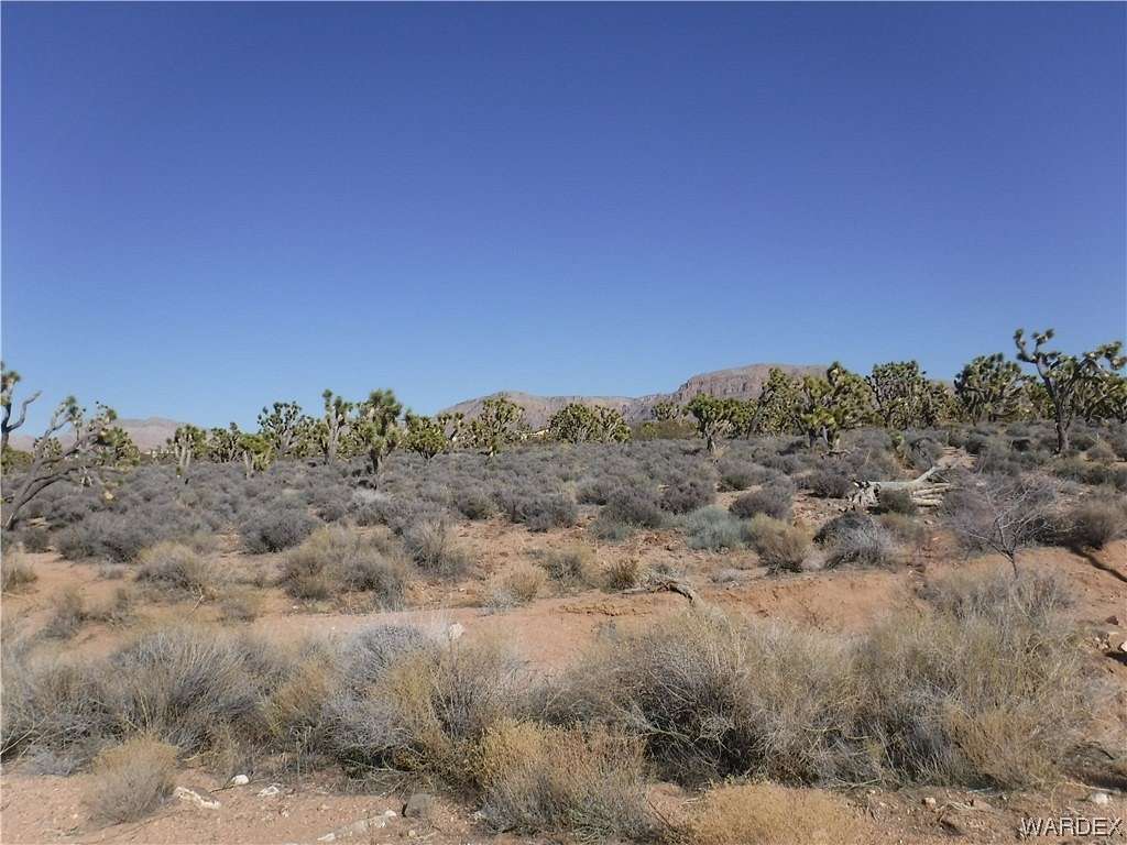 1.1 Acres of Residential Land for Sale in Meadview, Arizona