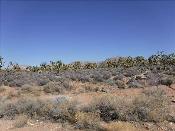 1.148 Acres of Mixed-Use Land for Sale in Meadview, Arizona