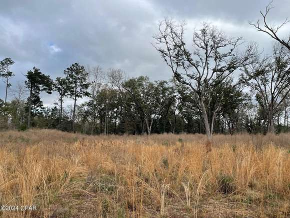 5 Acres of Residential Land for Sale in Cottondale, Florida