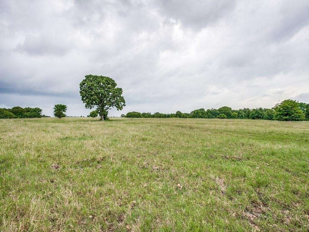 50.1 Acres of Recreational Land for Sale in Ivanhoe, Texas