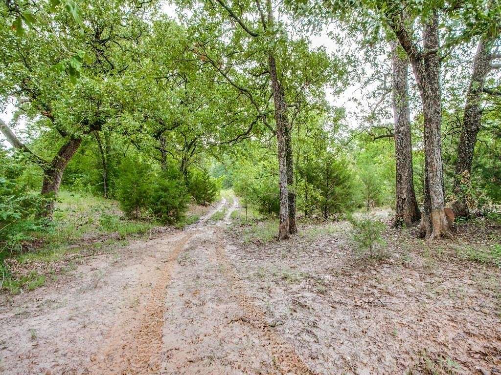 50.8 Acres of Recreational Land for Sale in Ivanhoe, Texas