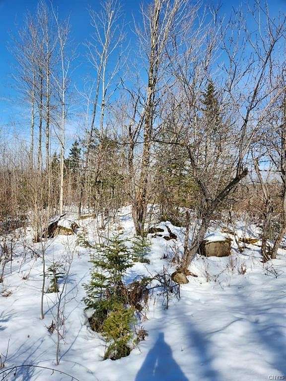 9.3 Acres of Land for Sale in Russia, New York