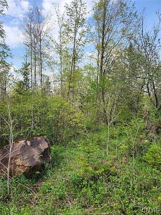 9.3 Acres of Land for Sale in Russia, New York