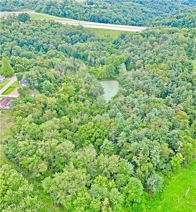 16.9 Acres of Land for Sale in Bloomingdale, Ohio