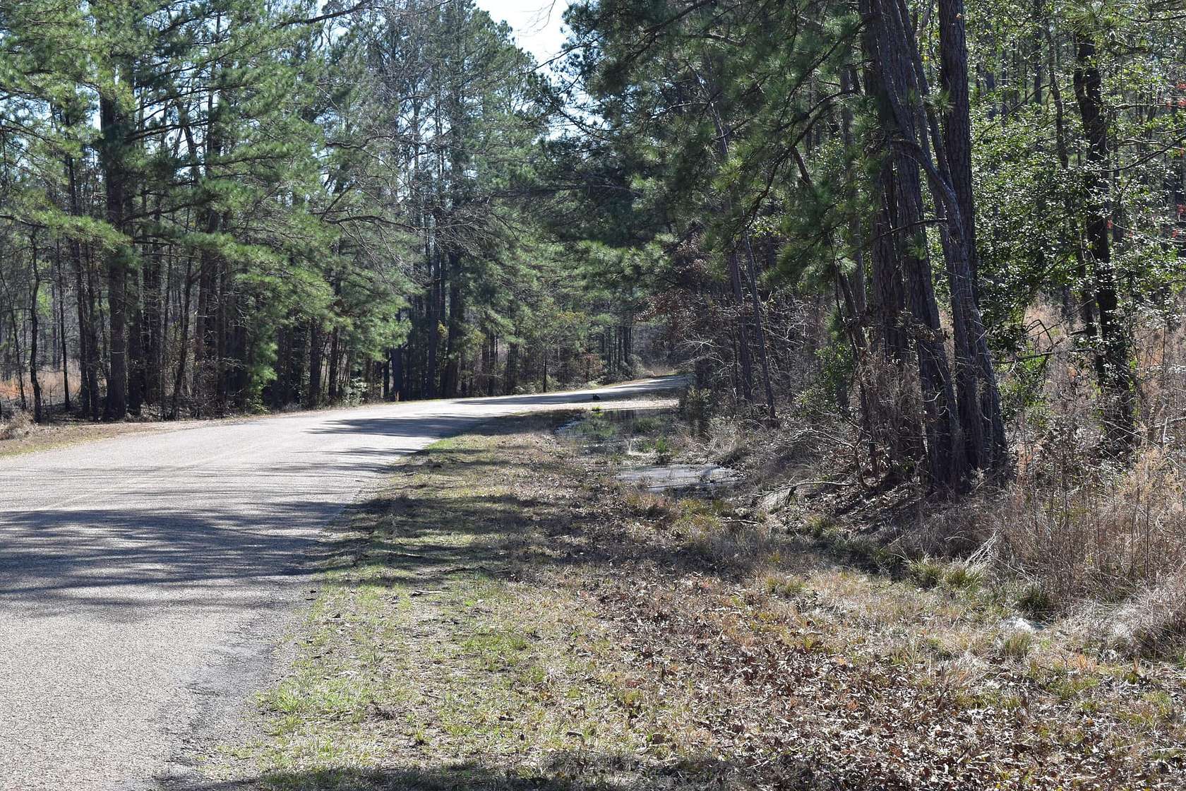 90 Acres of Recreational Land for Sale in Stephens, Arkansas