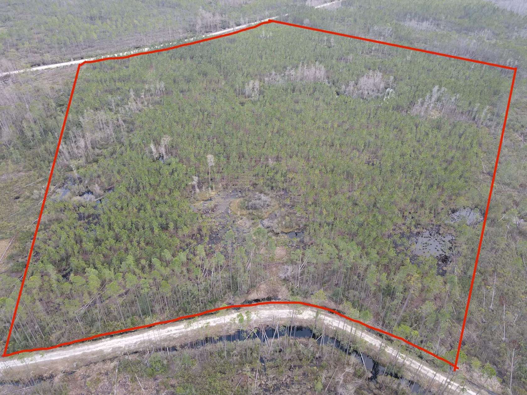 26.1 Acres of Recreational Land for Sale in Greenville, Florida