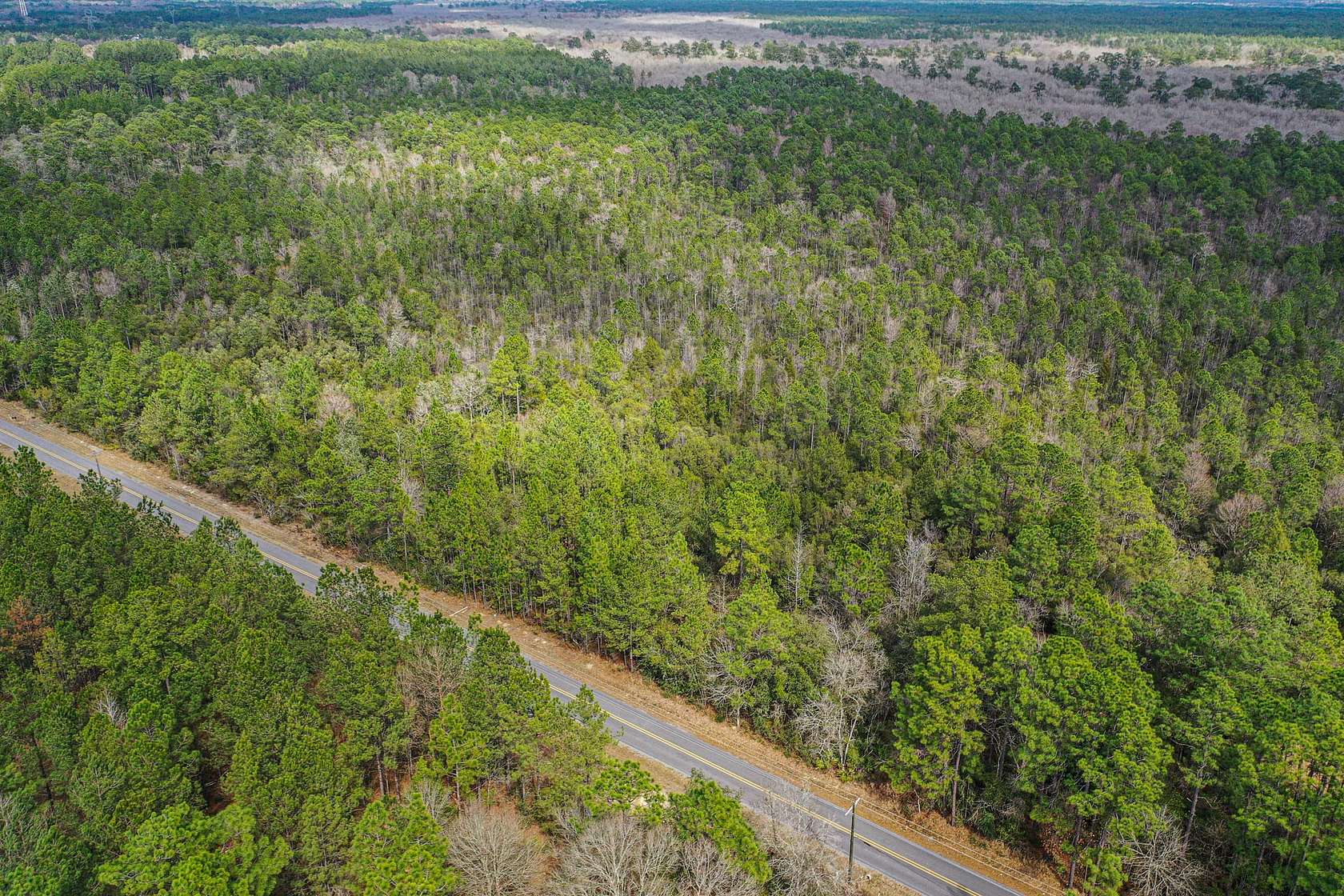 12.3 Acres of Recreational Land for Sale in Big Point, Mississippi