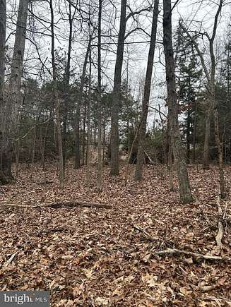 7 Acres of Residential Land for Sale in Mineral, Virginia