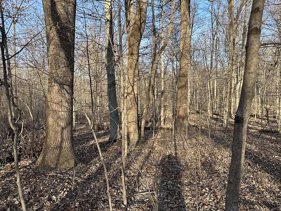 12 Acres of Recreational Land for Sale in West Terre Haute, Indiana