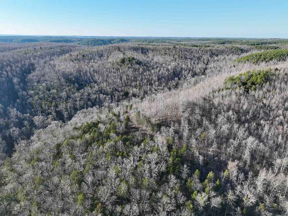 113 Acres of Land for Sale in Waynesboro, Tennessee