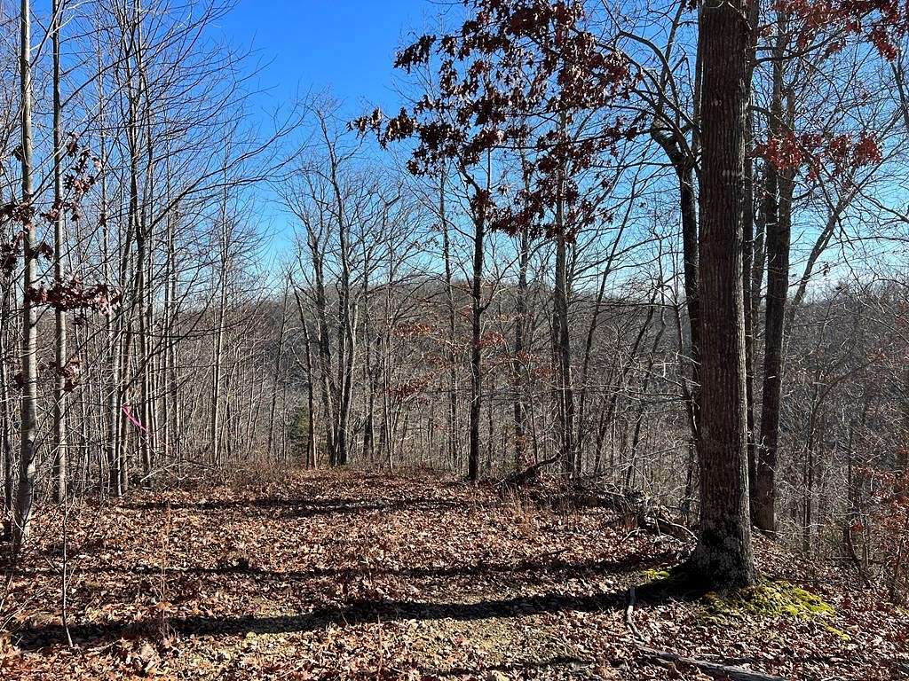 25.2 Acres of Land for Sale in Whitleyville, Tennessee