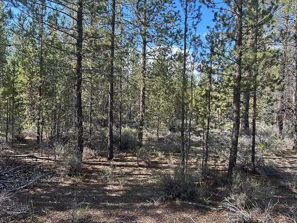 38.3 Acres of Recreational Land for Sale in Gilchrist, Oregon