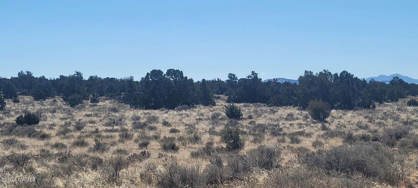 10 Acres of Agricultural Land for Sale in Williams, Arizona