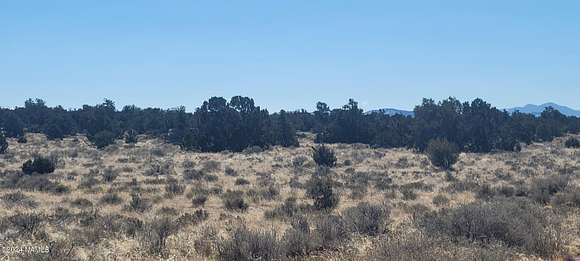 10 Acres of Agricultural Land for Sale in Williams, Arizona