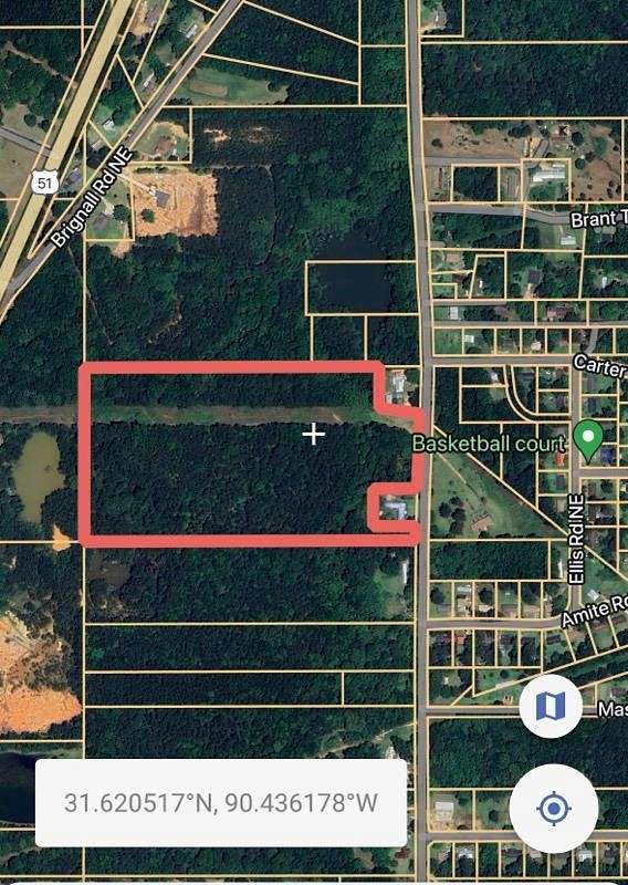 19.5 Acres of Land for Sale in Brookhaven, Mississippi