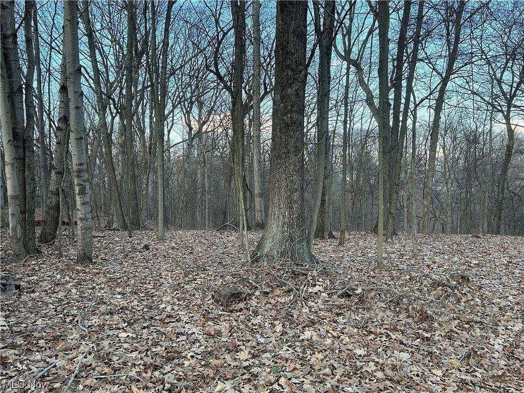 2.6 Acres of Residential Land for Sale in Cambridge, Ohio