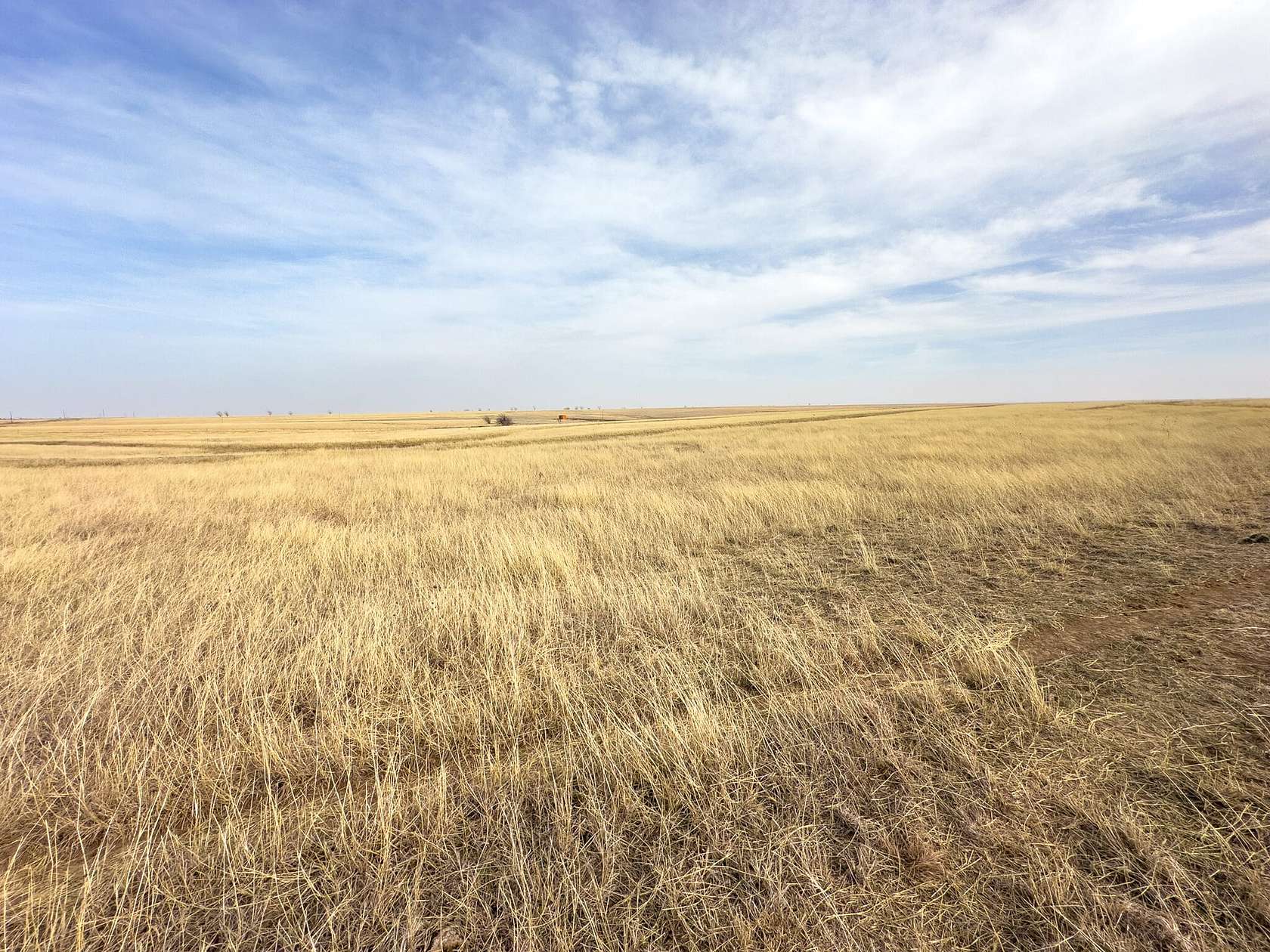 160 Acres of Land for Sale in Laverne, Oklahoma