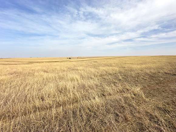 160 Acres of Recreational Land & Farm for Sale in Laverne, Oklahoma