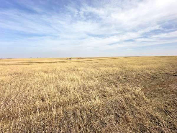 160 Acres of Land for Sale in Laverne, Oklahoma