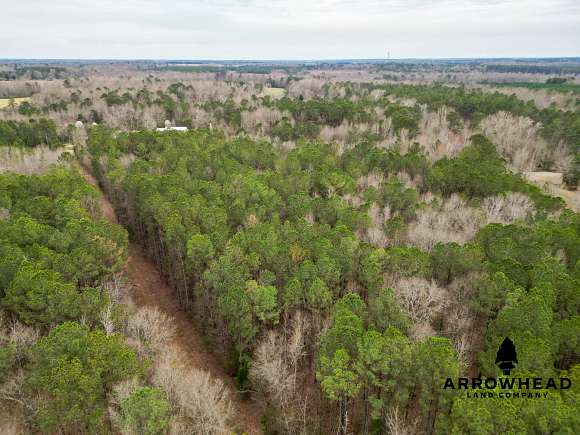 9.9 Acres of Recreational Land for Sale in Barnesville, Georgia