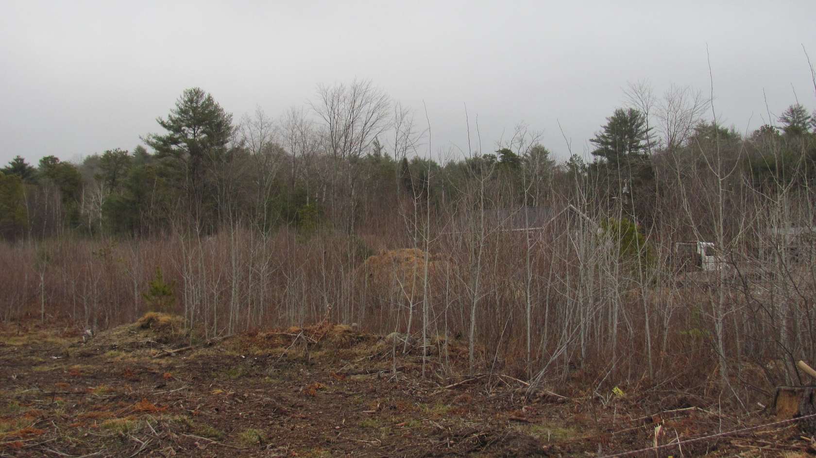 1.4 Acres of Land for Sale in Oxford, Maine