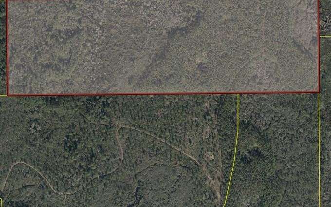 50 Acres of Land for Sale in Mayo, Florida