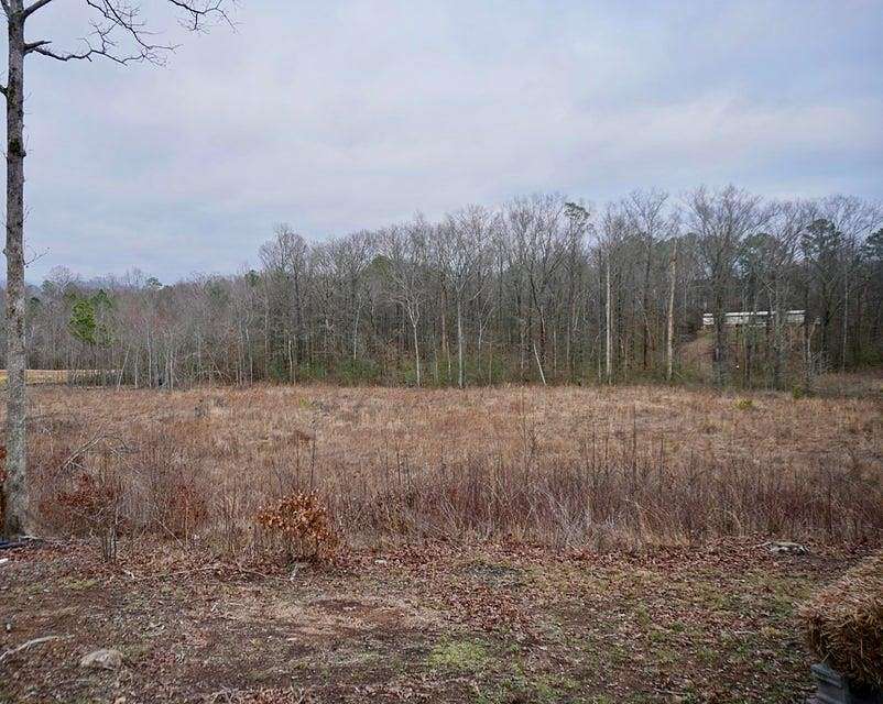 3 Acres of Residential Land for Sale in Chatsworth, Georgia
