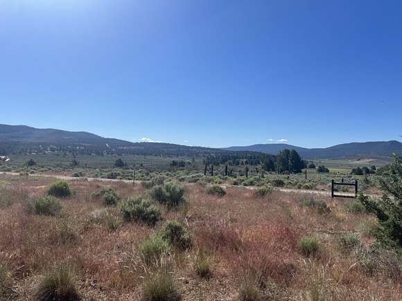 3.3 Acres of Residential Land for Sale in Beatty, Oregon