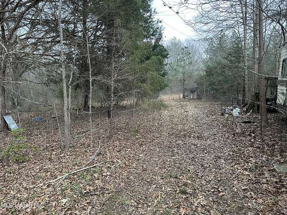 9.8 Acres of Land for Sale in Coldwater, Mississippi