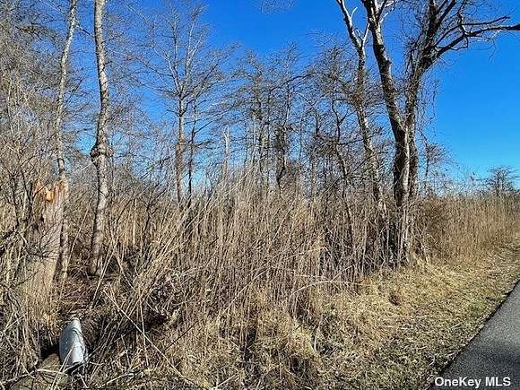 0.09 Acres of Land for Sale in Mastic Beach, New York