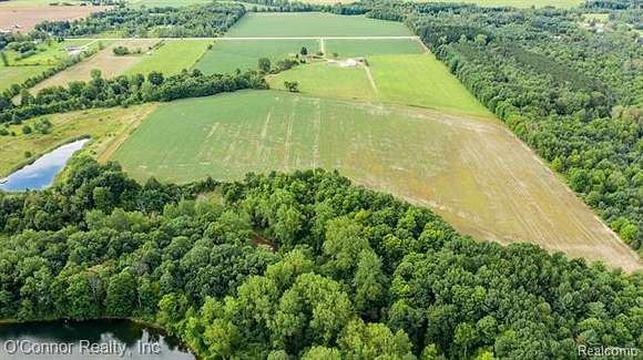 31 Acres of Land for Sale in Avoca, Michigan