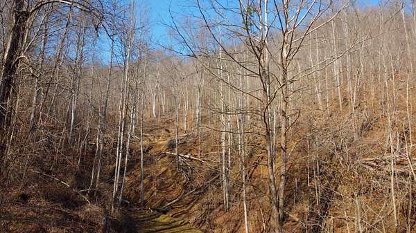 76.3 Acres of Recreational Land for Sale in Jackson, Kentucky