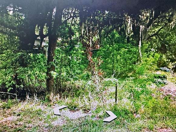 1.35 Acres of Residential Land for Sale in Palatka, Florida