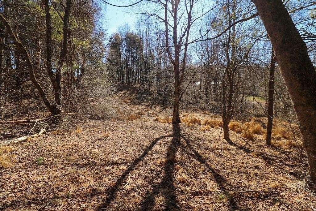 0.3 Acres of Residential Land for Sale in Fancy Gap, Virginia