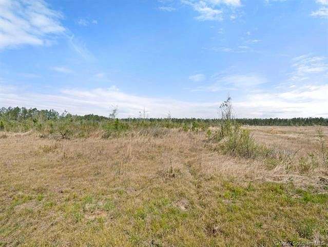 10 Acres of Residential Land for Sale in DeRidder, Louisiana