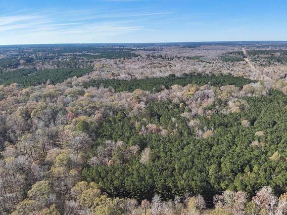 96 Acres of Recreational Land & Farm for Sale in Magnolia, Arkansas