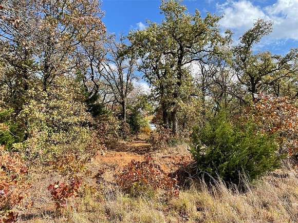 20 Acres of Land for Sale in McLoud, Oklahoma