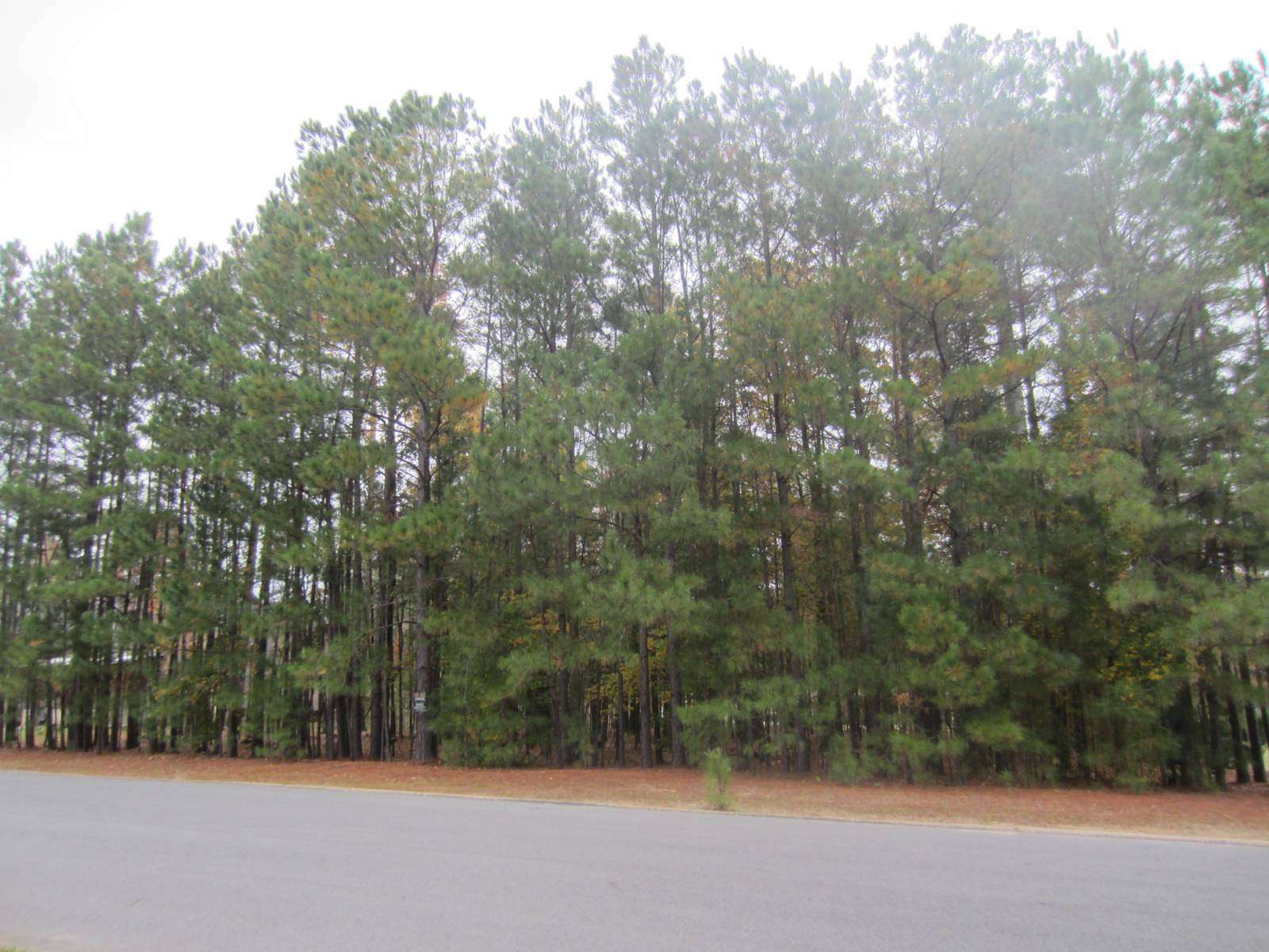 0.6 Acres of Residential Land for Sale in Magnolia, Arkansas